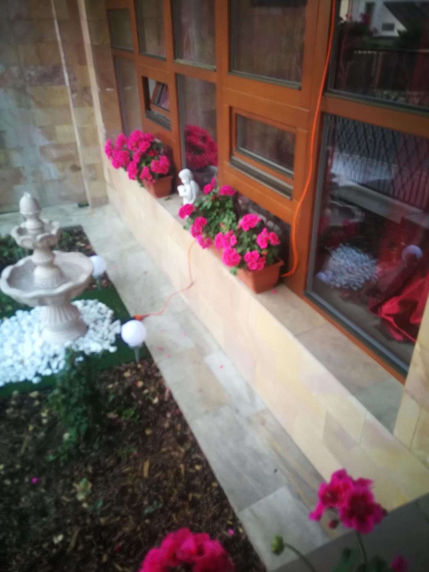 Villa Barrandovska براغ المظهر الخارجي الصورة
